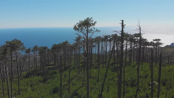 Landscape View of Beach and Blue Sea Under Mountain Slope on Sunny Summer Day, Aerial Shot