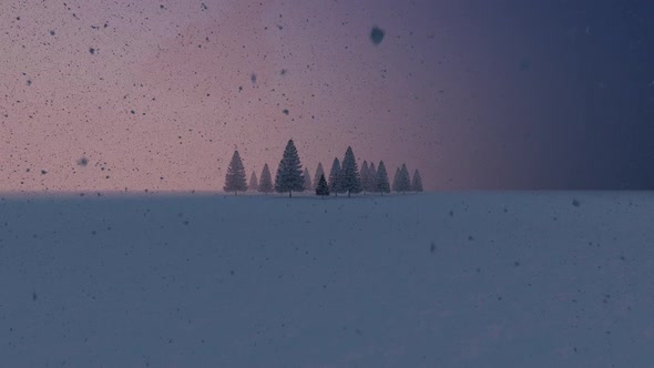 Snow And Pines