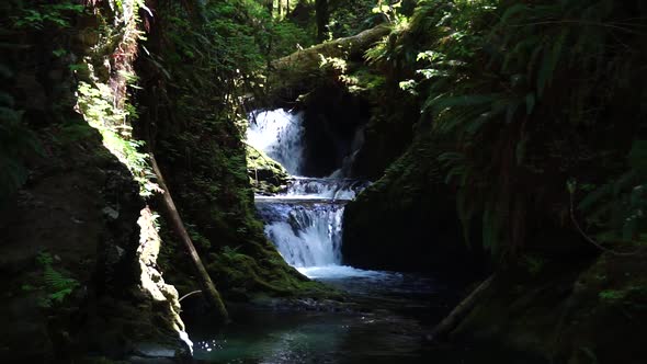 A small waterfall in the Olympic National Forest leading to Lake Quinault, green moss and ferns, roc