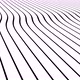 Curved lines in dynamic wave motion. Modern Minimal lines abstract motion design. - VideoHive Item for Sale