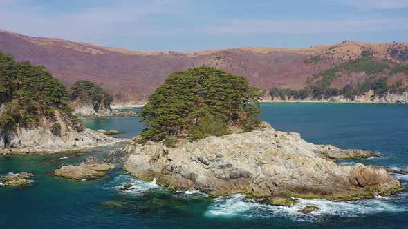 Rocky Island Washed By Waves Covered with Coniferous Trees in a Sea Bay