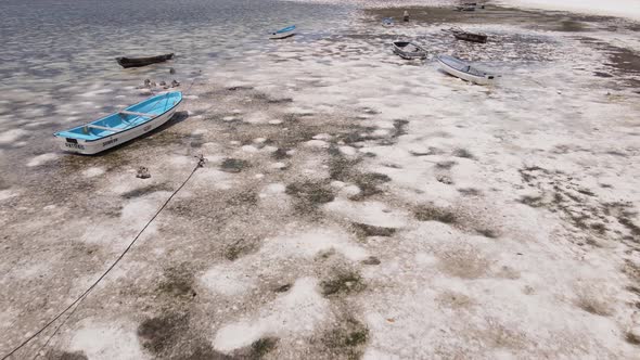 Low Tide in the Ocean Near the Coast of Zanzibar Island Tanzania