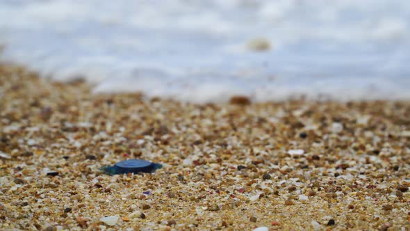 Plastic pollution on beach shore. Close-up