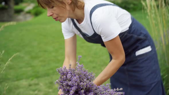 Camera Follows Lavender in Female Hands As Gardener Putting Down Flowers in Basket