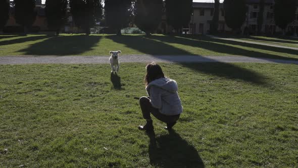 Woman with the dog at the park