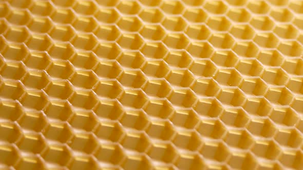 Honeycomb on a Wax Plate