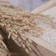 Rice in the kitchen - VideoHive Item for Sale