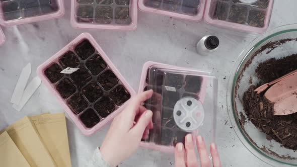 Flat lay. Planting seeds in seed propagator with soil.