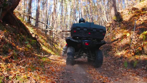 People Rides Quad Bikes in the Autumn Forest on the Path with Trees Above the Path