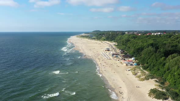 Baltic Coastline with Green Summer Forest and the Sea