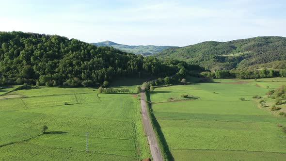 Aerial View Of Road Trees And Green Meadows