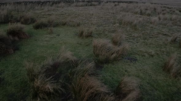 Irish peat bog aerial view