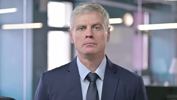 Portrait of Upset Middle Aged Businessman Looking at Camera