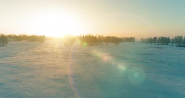 Aerial Drone View of Cold Winter Landscape with Arctic Field Trees Covered with Frost Snow and