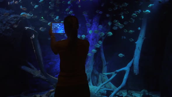 Woman making pad photos during visit to oceanarium