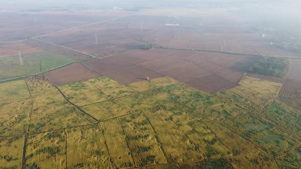 Drone view paddy field plantation
