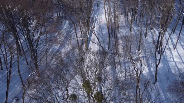 Aerial view of a drone flying over the winter park.