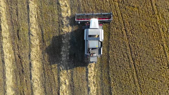 Aerial View of a Combain Collecting Corn. Agriculture and Farming, Campaign.