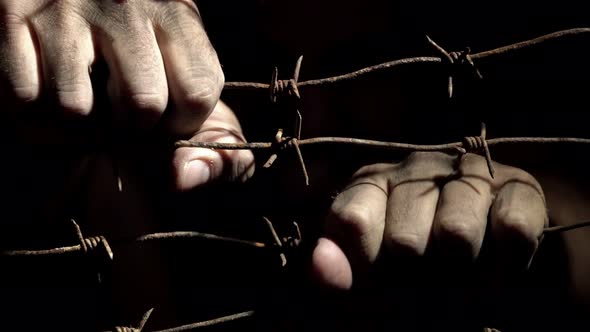 Prisoner's Hands Shake the Rusty Barbed Wire in the Darkness Lit By Hard Light