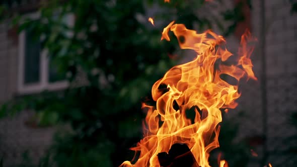 Bright flame of burning firewood outdoors. Natural texture of bright fire 