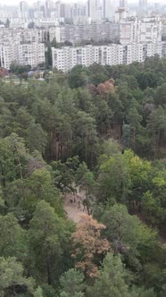 Aerial View of the Border of the Metropolis and the Forest