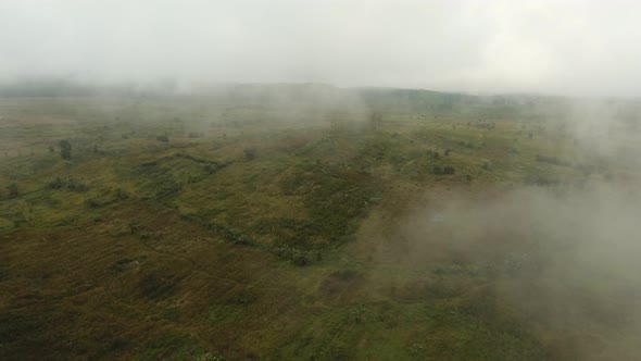 Farmland in the Mountains in the Fog. Jawa Island, Indonesia