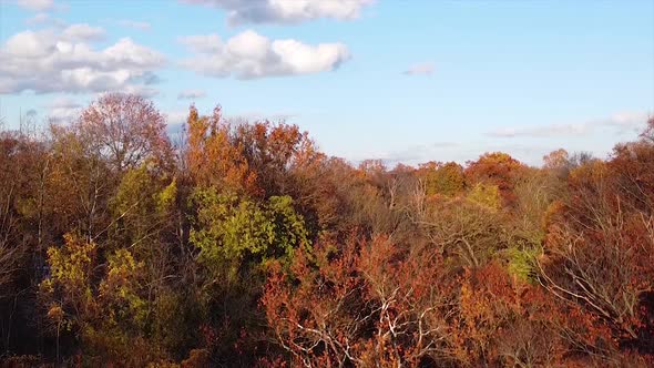 Drone shot of autumn foliage on a cloudy November day.