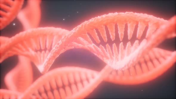 Structure of the DNA Double Helix  alt