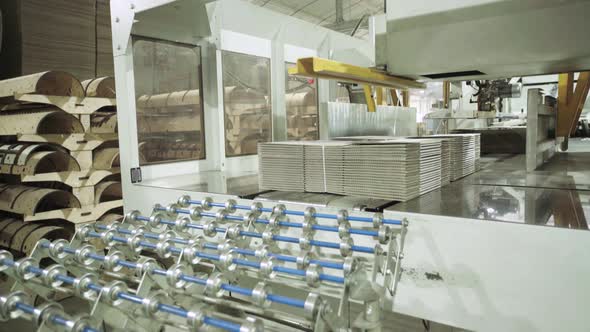 A Working Conveyor in a Paper Mill. Technology. Factory. Kyiv. Ukraine