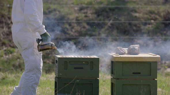 BEEKEEPING - Beekeeper smokes beehives to prevent aggression, slowmo medium shot