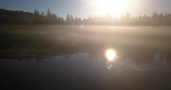 Aerial view of Sunbeams shining through mist over lake in forest