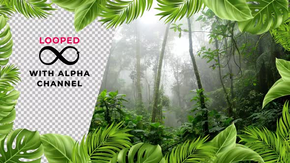 Tropical Leaf Frame Loop 4K alt