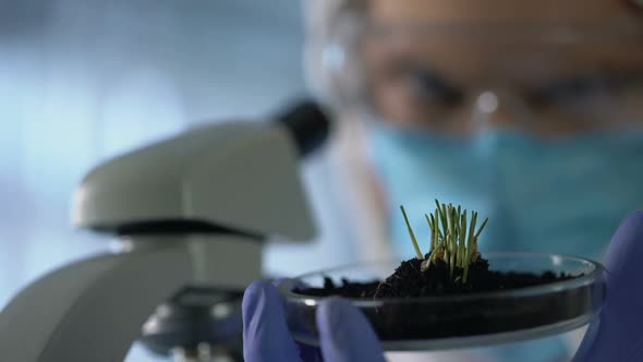 Biologist Observing Sprouts, Using Microscope to Check Growth, Agro Research