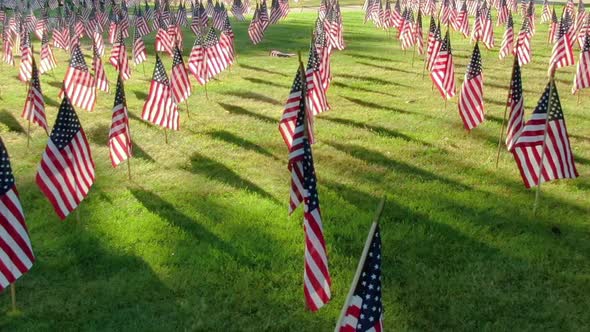 American flags on the green field fluttering in the wind in the afternoon. Celebration of 4th July o