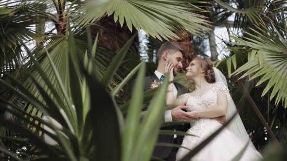 Newlyweds. Caucasian Groom with Bride in the Park. Wedding Couple. Happy Family