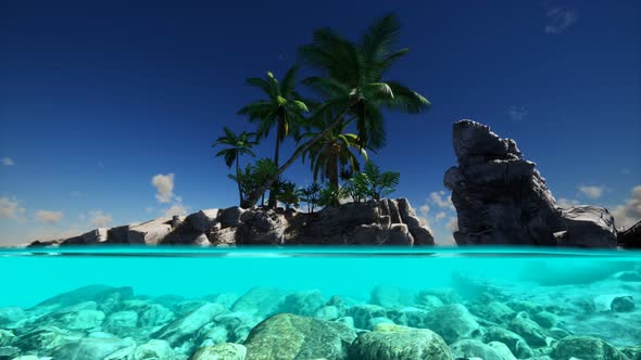 Split View Cross Section of Sea Water and Palm Trees on Island