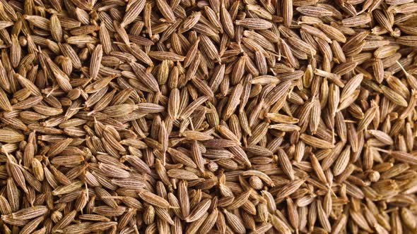 Dried Cumin Seeds Background