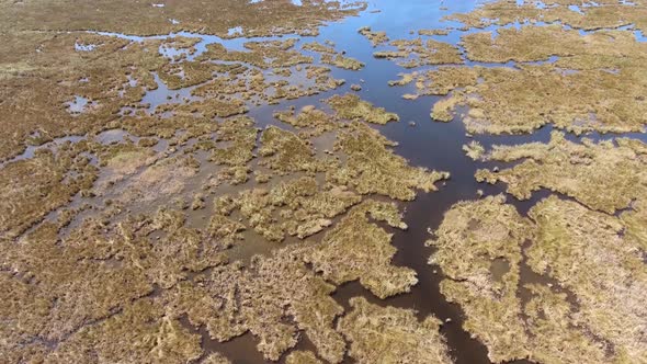 Aerial Reeds, Waterway Channels, Swamp and Wetland in the Delta