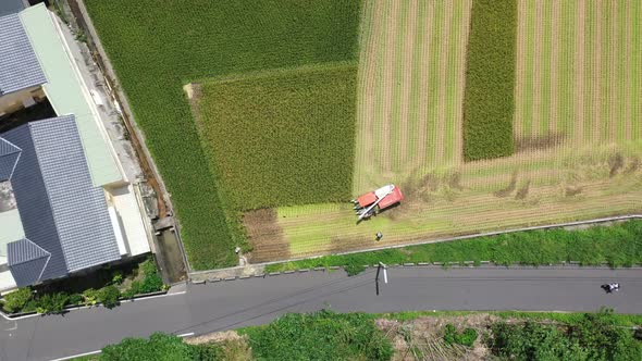 Aerial drone footage Cultivated rice paddy field, farmer harvesting the crops with multifunctional p