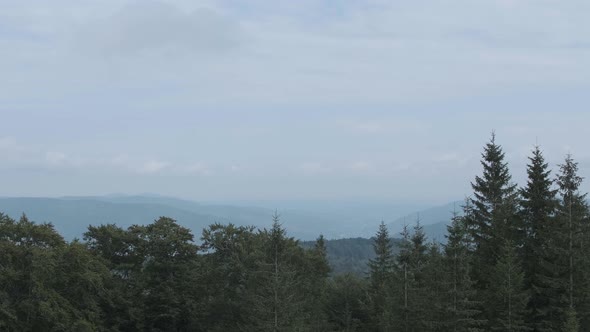 Carpathian forest and mountains filmed on hike tour in autumn season