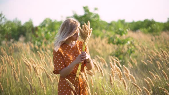 Beautiful Young Woman Walks in the Field Collects a Bouquet of Flowers and Spikelets