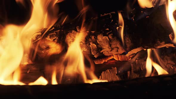 Bonfire Burning at Night in Slow Motion. Flames of Campfire at Nature.