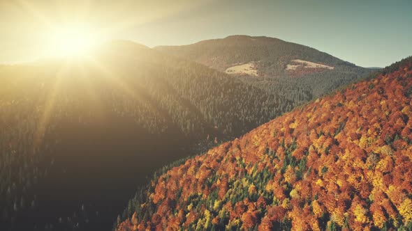 Autumn Mountain Landscape Sunrise Aerial View