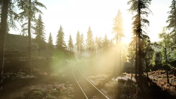 Flight Over Railway alt