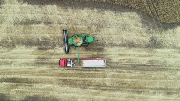 An Aerial View of a Harvester Dumping Grain Into a Truck Van After Harvesting