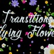 Transitions Flying Flowers - VideoHive Item for Sale