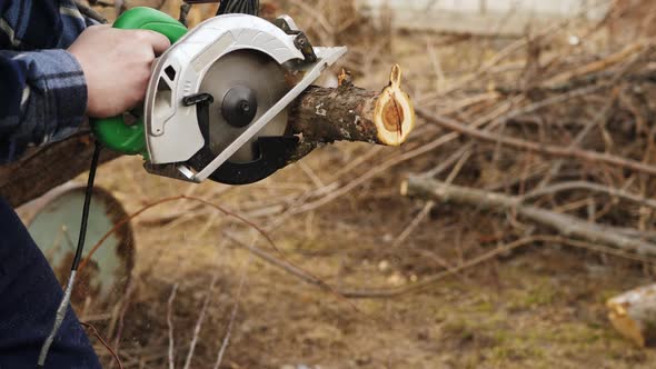 Worker Hands with Electric Circular Saw Cuts Part From Apple Tree Trunk