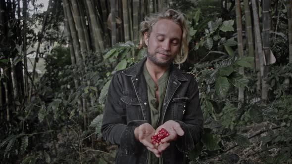 Coffee Farmer Picking Coffee Beans Cherries