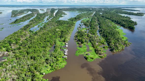 Stunning landscape of Amazon Forest at Amazonas State Brazil.