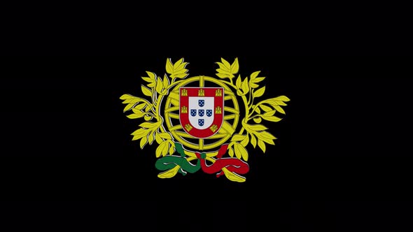 Coat Of Arms Of Portugal With Alpha Channel  4K